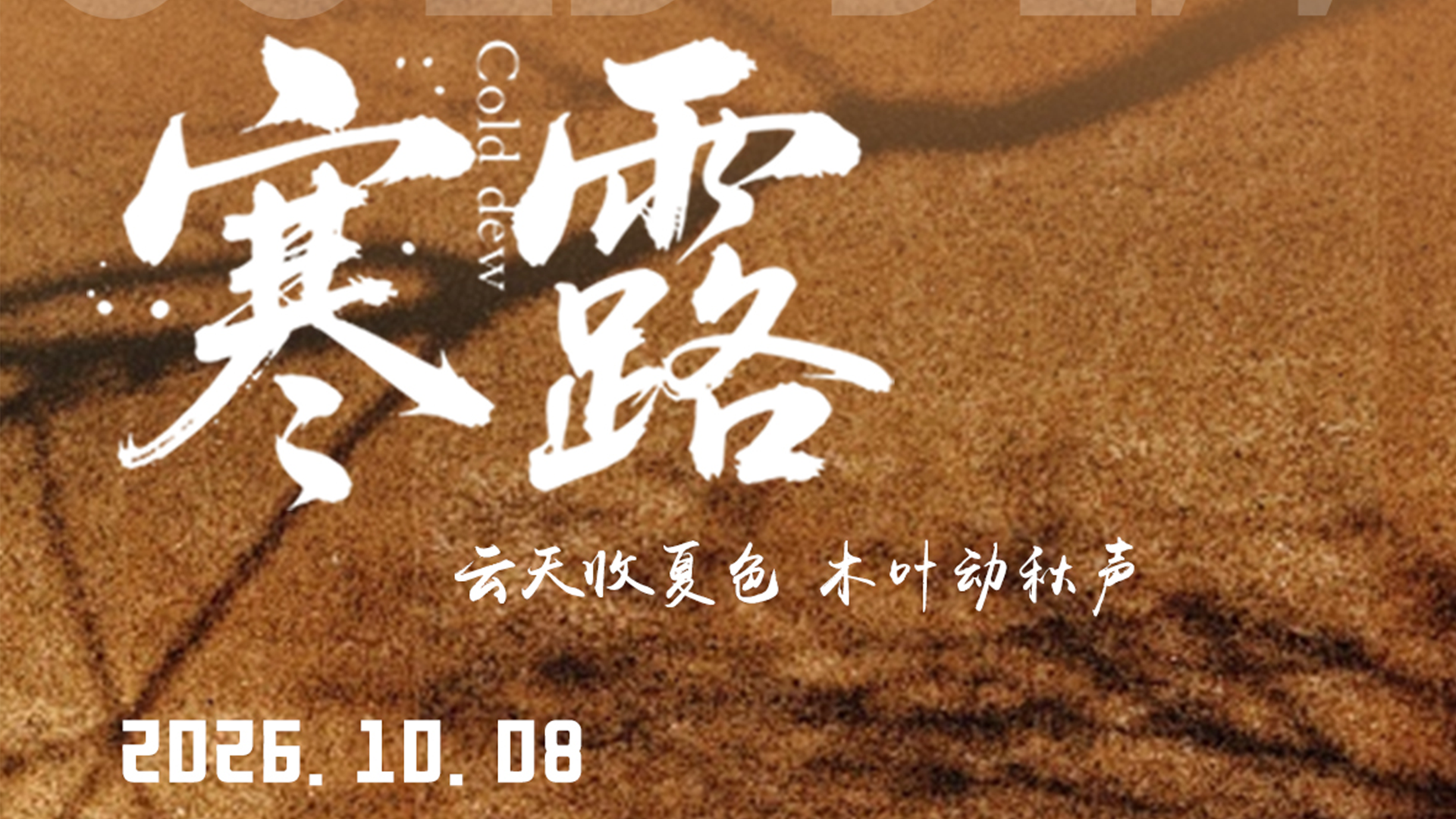 “寒露”—秋寒渐至🧥勿忘添衣